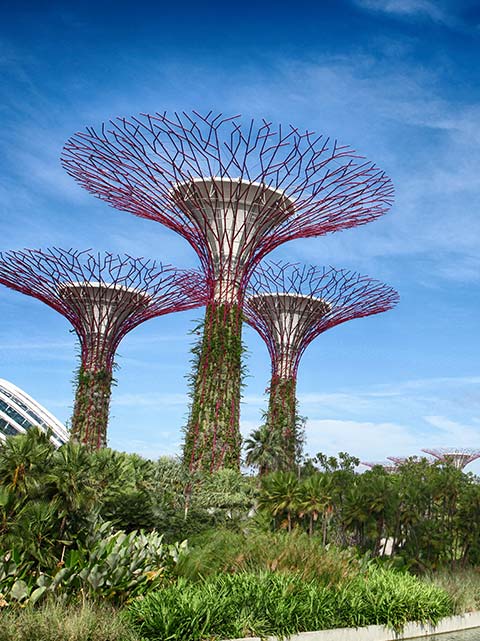 singapore