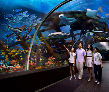 singapore1