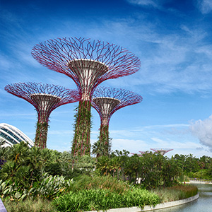 singapore