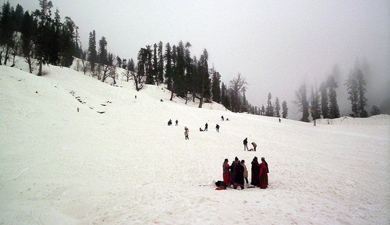 Manali & Shimla