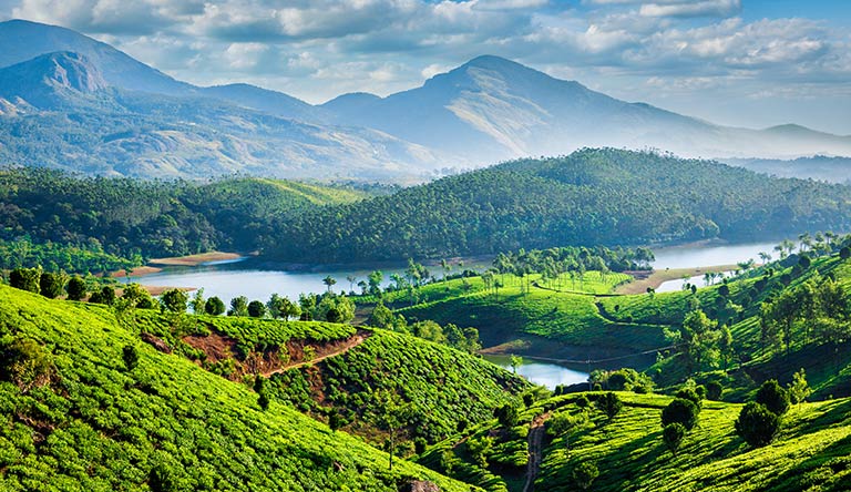 tea-plantations-and-muthirappu-munnar-kerala-india