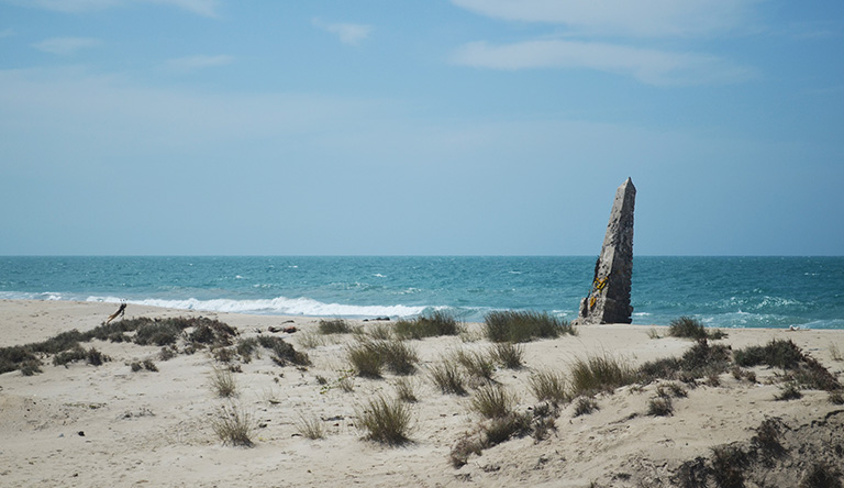 dhanushkodi-beach-rameswaram-tamil-nadu-india.jpg