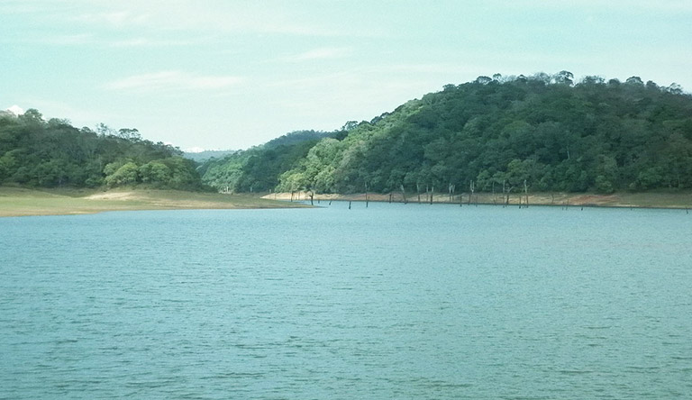 thekkady-periyar-lake-kerala-india.jpg