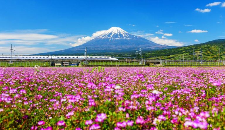 shinkansen-bullet-train.jpg