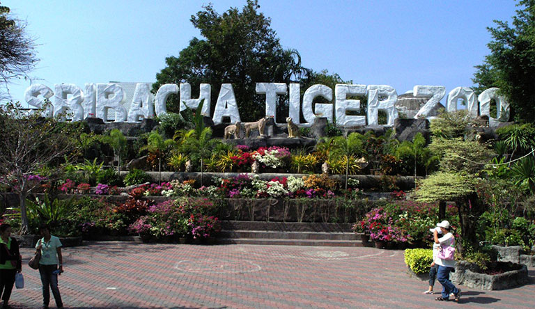 sri-racha-tiger-zoo-pattaya-thailand