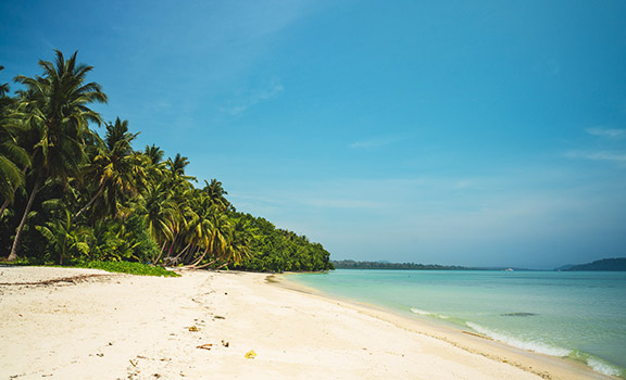 Havelock Beach Packages