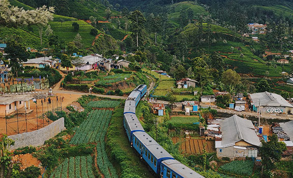 Nuwara Eliya Family Packages