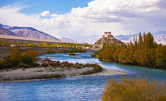 Leh Family Packages