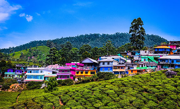 munnar