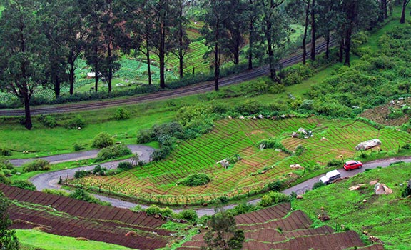 Ooty Family Packages