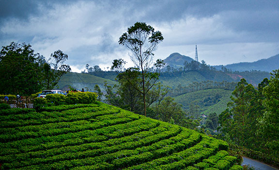 Munnar Group Tour Packages