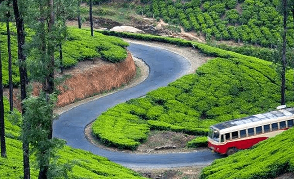 Thekkady Honeymoon Packages