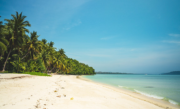 Havelock Island Honeymoon Packages