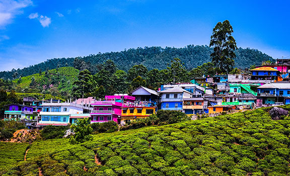 Munnar Honeymoon Packages