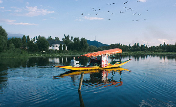 kashmir