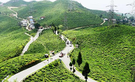 mirik