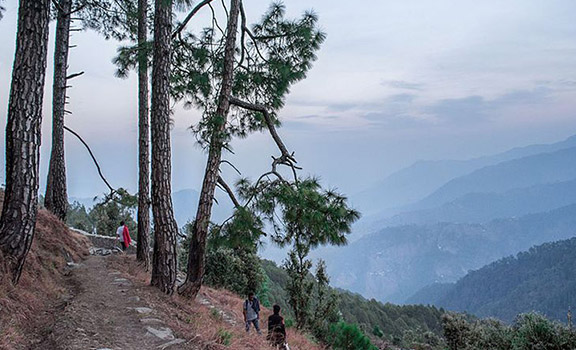 Binsar Tourism Packages