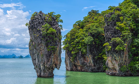 Phuket Wildlife Packages