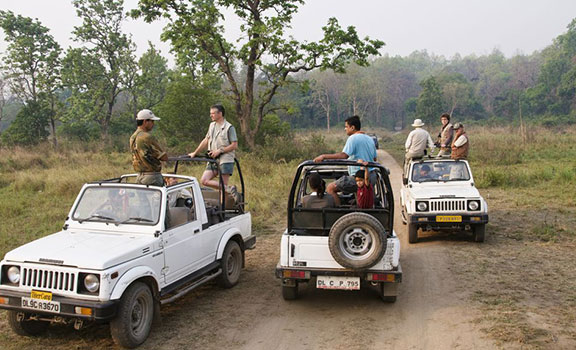 Corbett Packages from Delhi